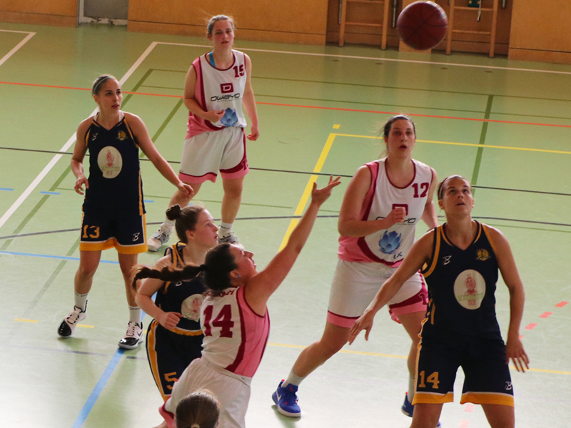 20190406 D1 Vienna Def