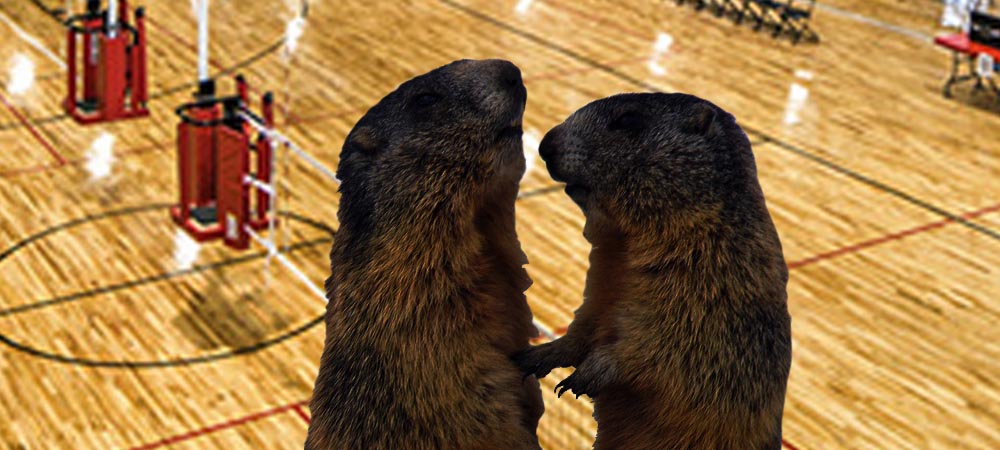 20190918 Murmeltier slide